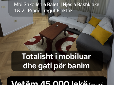 1+1 Apartment for rent above the Ballet School