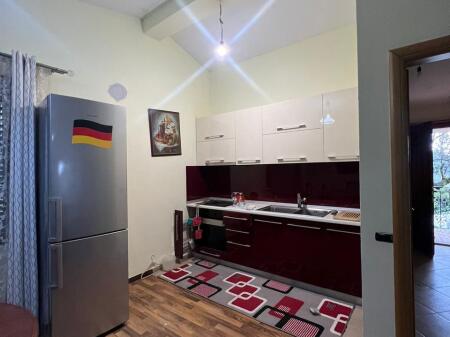 House for rent 1+1