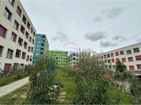 Ideal Apartment for Living or Office in Ali Demi