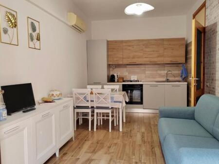 APARTMENT FOR RENT 1+1 PARIS COMMUNE
