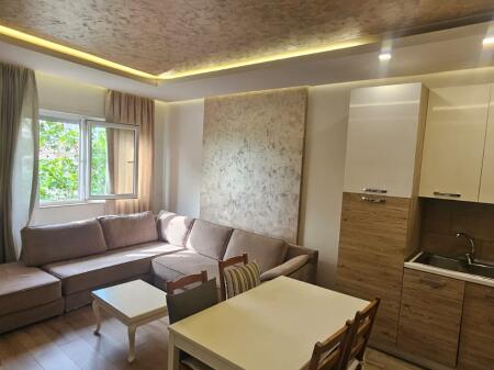 Luxury 1+1 apartment for rent