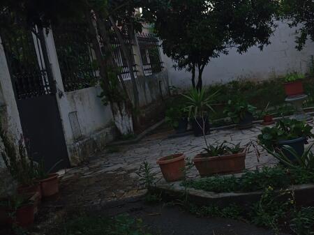 For rent