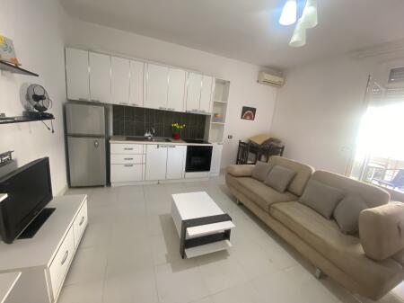 1+1, furnished, near the botanical garden.