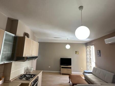 Apartment for Rent 1+1, Zoo Garden