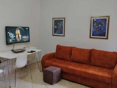APARTMENT FOR RENT 1+1
