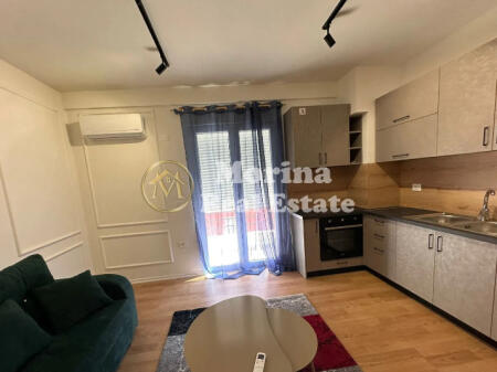 Rent, Apartment 1+1, Selite, 