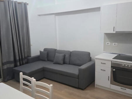 Apartment 1+1 for rent in front of American 3!