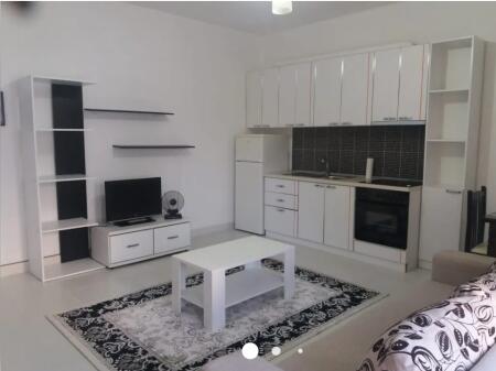 1+1 apartment for rent Botanical Garden!..