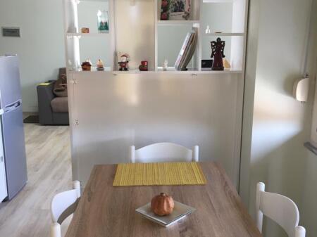 Appartamento 1+1 in affitto