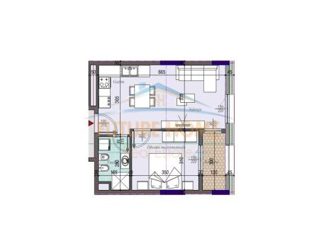 1+1 apartment, Casa Italia