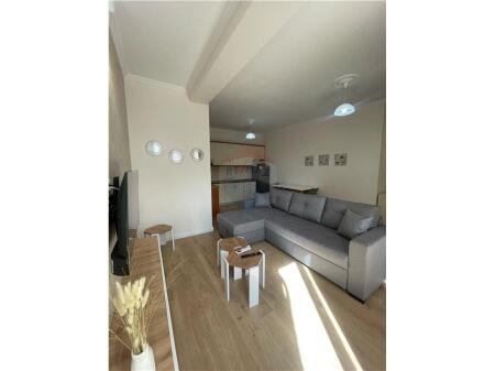 Apartament 1+1 me qera me ballkon dhe plot drite, Bar Artisti ne Astir