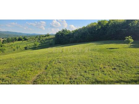 LAND FOR SALE LOCATED IN MUSHQETA!