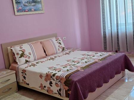 APARTMENT FOR RENT 1+1