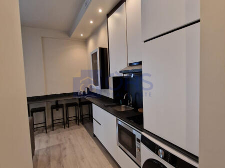 1+1 apartment for rent near the Zoo