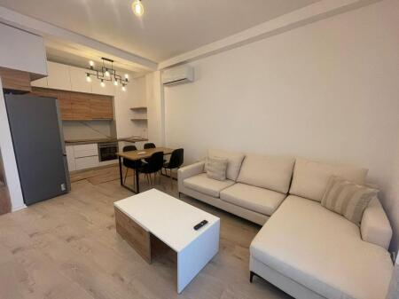 1+1 FOR RENT IN THE 'MAGNET' COMPLEX, DECEMBER 21. IRG116707