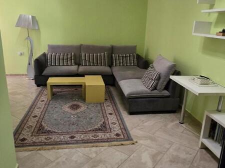 APARTMENT FOR RENT 1+1