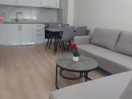 Apartament 2+1 me qira Oasis Astir