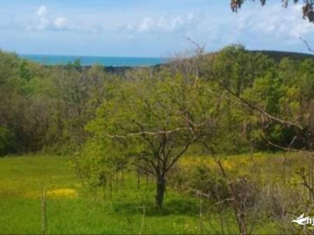 Land for sale in Lalzit Bay
