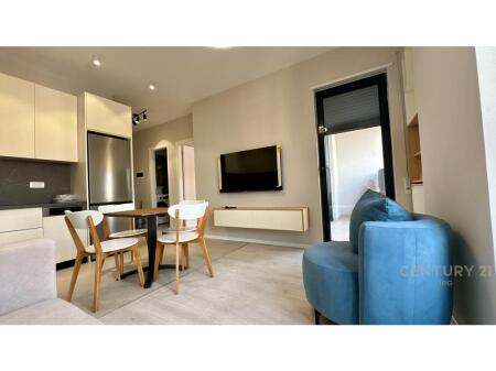 apartment for rent 1+1 on Karl Gega street