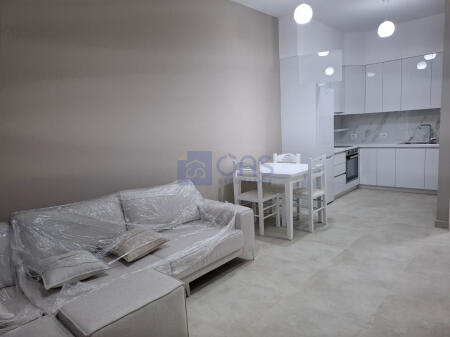 Apartment 1+1 for rent at Amerikan 3