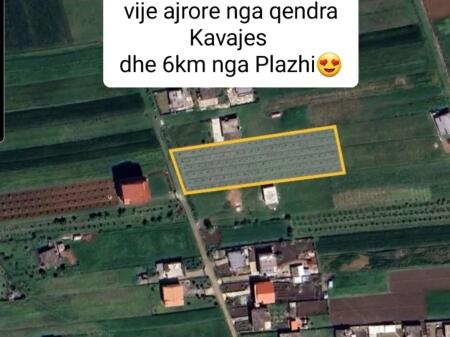 Momel, Terreno per una casa con 130 radici di ulivo