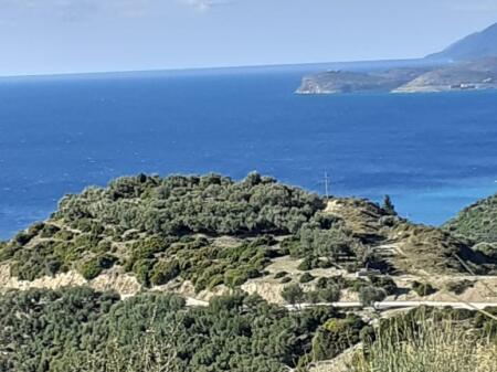 For sale 12,000 m2 of agricultural land in Lukove FOR INVESTMENT