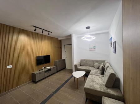 Modern 1+1 apartment for rent in Selita