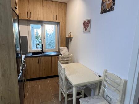 1+1 apartment for rent in Selite