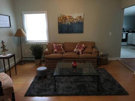 Apartament Me Qera 1+1 Ne Qender (ID B2101159) Tirane.
