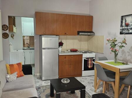 APARTMENT FOR RENT 1+1