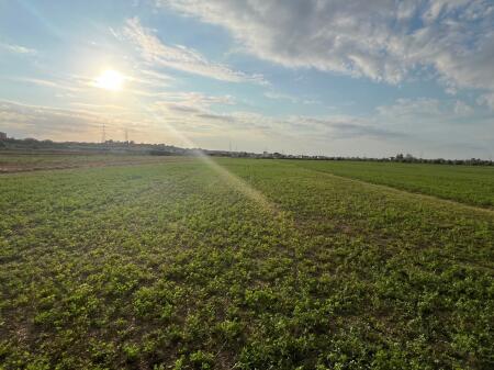 Land for sale in the village of Xhavzotaj, Shijak.