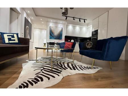 Apartment for rent 2+1 in Bllok!