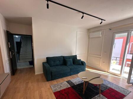 APARTMENT FOR RENT 1+1 SELITE 550 EURO