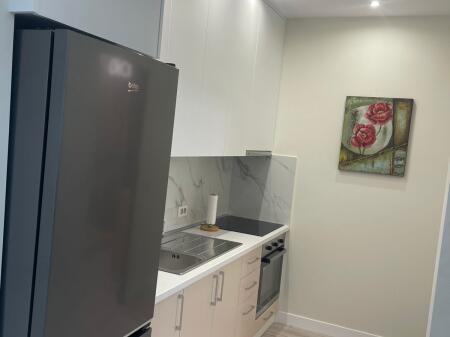 Apartment for rent 1+1 at Kosovarve Street