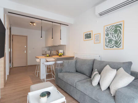 Apartment For Rent 1+1 Near the Dry Lake (ID B2101187) Tirana