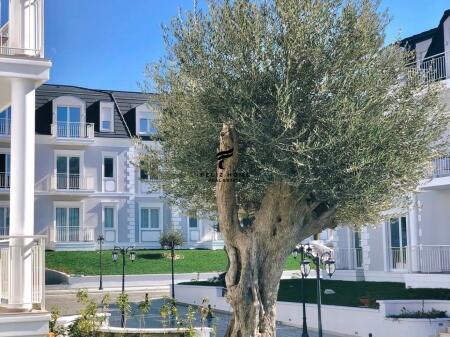 APARTMENT FOR RENT 2+1 TEG 290,000 EURO