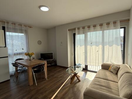 Apartment for rent 1+1 at Olympic Park