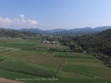 Olive grove land for sale in Baldushk (ID 4191181)
