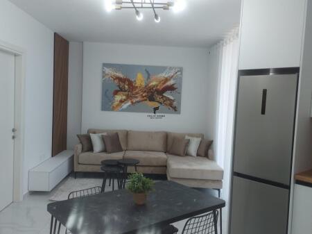APARTMENT FOR RENT 1+1 YZBERISHT 500 EURO