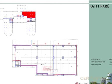 Commercial Space for Rent with 4 Parking Spaces – Near Zogu i Zi