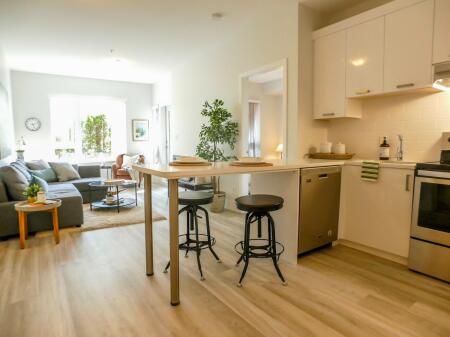 Apartament Me Qera 2+1 tek Kopshti Botanik (ID B2201416) Tirane.