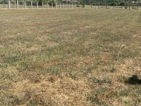 Shitet 3750 m² toke me dokumenta te rregullta ne Arbane