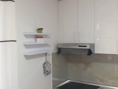 APARTMENT FOR RENT 1+1 BARRICADES STREET 550 EURO