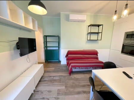 Appartamento in affitto 1+1 in Via Bardhyl (ID B211367) Tirana