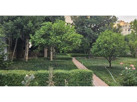 For Rent – 3+1 Apartment near the Grand Complex