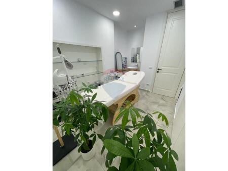 AMBIENT SALLON PARUKERI