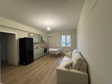 Apartment for rent 1+1 at Mine Peza (ID B211368) Tirana