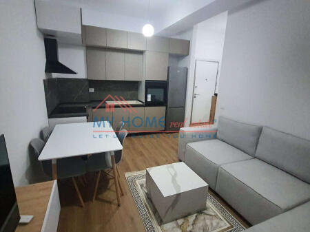 Apartment 1+1 for Rent Ali Demi Tirana