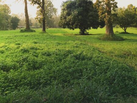 🔺️LAND FOR SALE PETRELE🔺️ 460.000 €