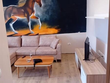 Apartament me qira 1+1 tek Ish Stacioni i Fundit i Tiranes se Re